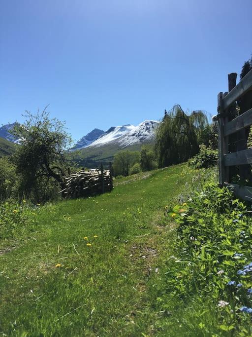 Moonvalley Lodge - Stort & Koselig Hus - Mandalen エクステリア 写真