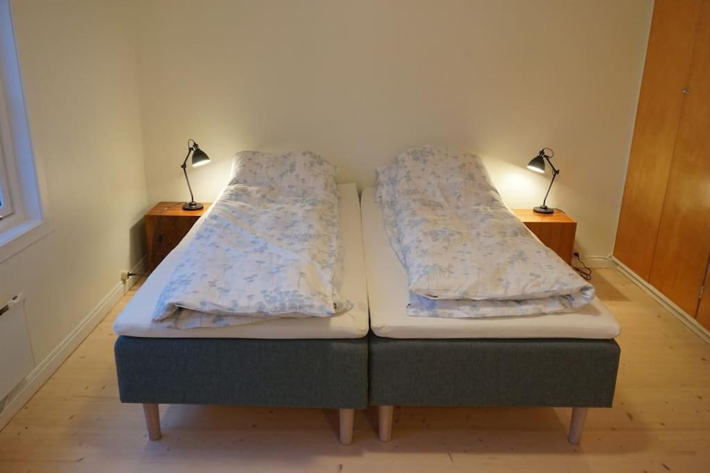 Moonvalley Lodge - Stort & Koselig Hus - Mandalen エクステリア 写真